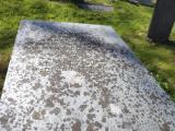 image of grave number 264820